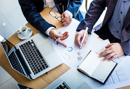 Professional Business Consulting Team